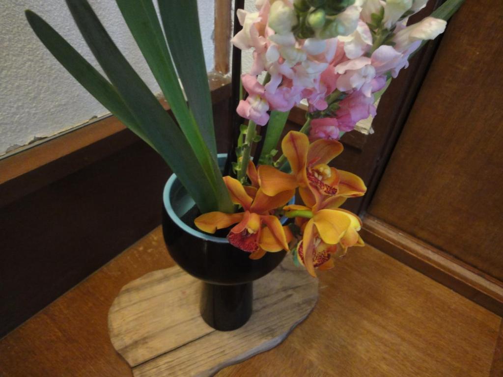 Guest house Kinreisou Hakone